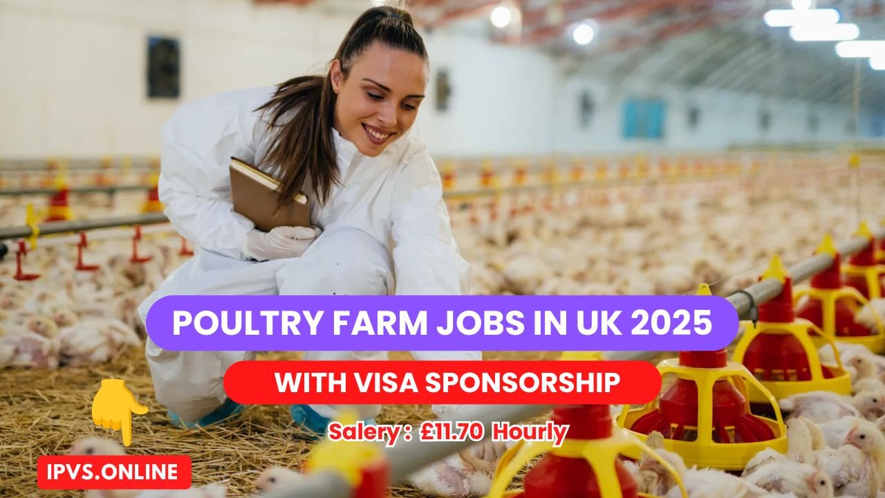 Poultry Farm Jobs in UK